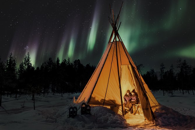 Aurora Borealis Picnic in Rovaniemi - Price and Value: What $113.37 Buys You in Rovaniemi