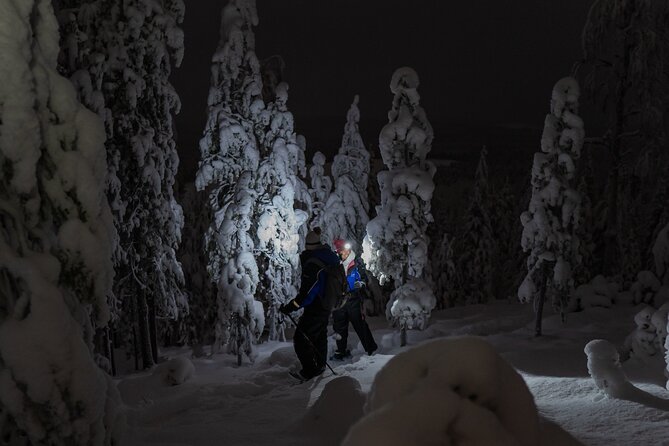 Aurora Borealis Snowshoeing Adventure by Night from Rovaniemi - The Lapland route: what your 3-hour snowshoe walk feels like