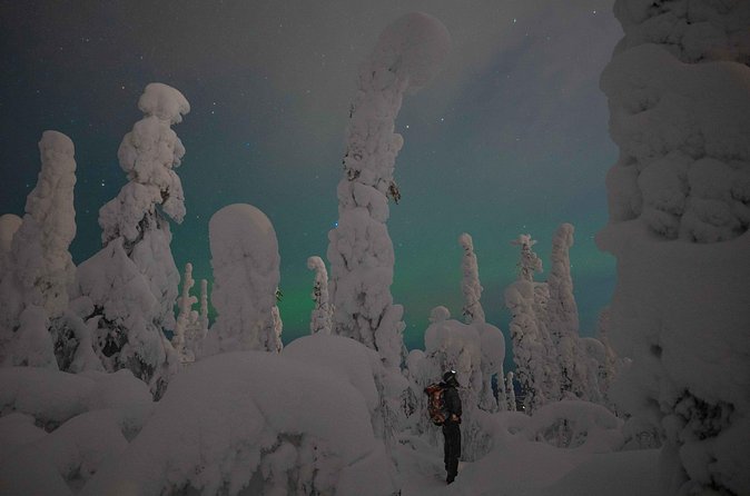Aurora Borealis Snowshoeing Adventure by Night from Rovaniemi - What to wear and pack for snowshoeing (since winter clothes and boots aren’t included)