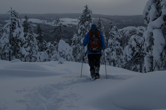 Aurora Borealis Snowshoeing Adventure by Night from Rovaniemi - Meeting in Rovaniemi: pickup, start time, and keeping things easy