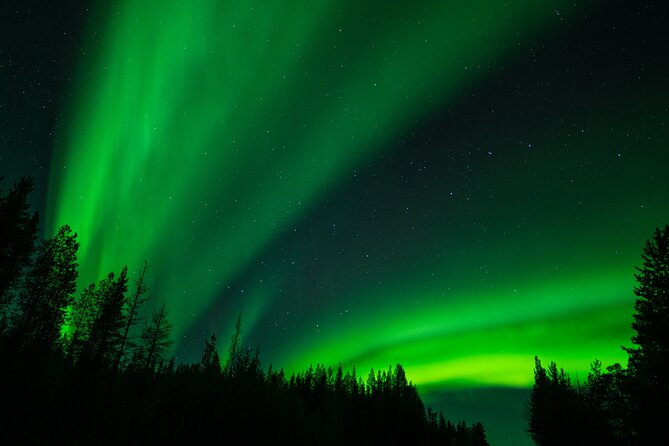 Aurora Hunting by Minivan in Ivalo, Inari or Saariselkä - Stop 2 warm hut break: sausages, hot drinks, and actual comfort
