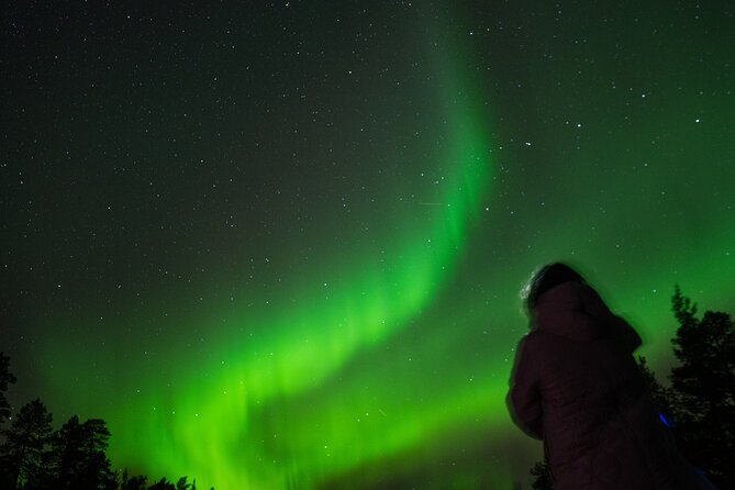 Aurora Hunting by Minivan in Ivalo, Inari or Saariselkä - Who you’ll be with: hosts, group size, and the tone of the night