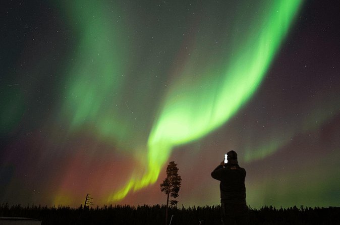 Aurora Hunting by Minivan in Ivalo, Inari or Saariselkä - Weather reality: how to avoid turning this into stress