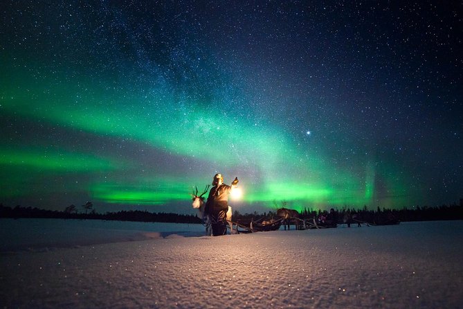 Aurora Hunting by Reindeer Sleigh - Key things that make this Aurora and reindeer sleigh outing worth your time