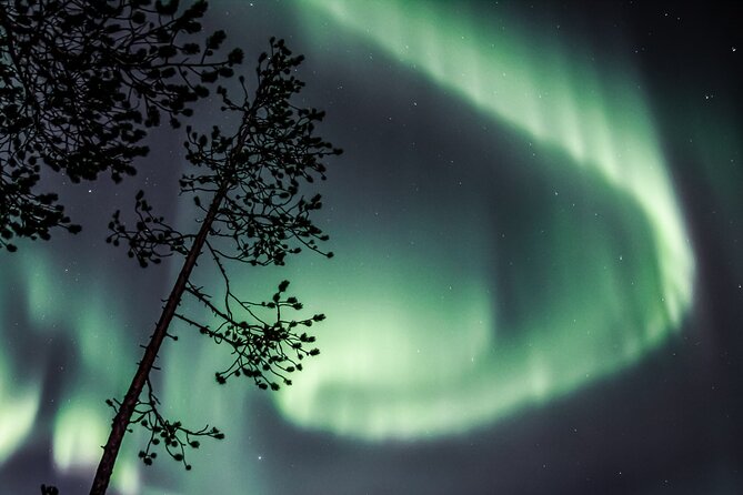 Aurora Hunting Photo Tour from Rovaniemi with Pickup - Aurora Hunting from Rovaniemi: the practical pitch