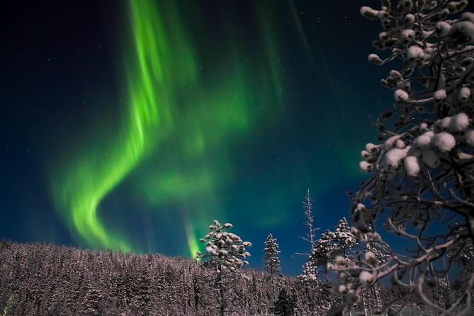 Aurora Ice Floating in Rovaniemi - Price and Value: Is $163.39 Worth It?