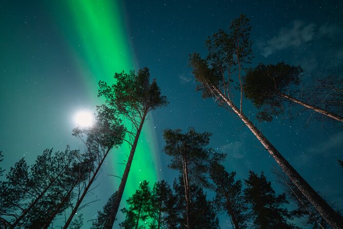 Aurora Photography Expedition with Video - Aurora Portrait Photography: Professional Equipment and Real Guidance