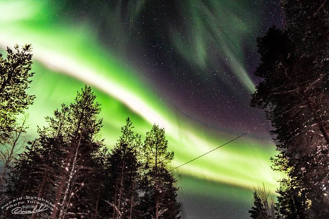 Auroras - Northern Lights Tours by Aurora Experts - Rovaniemi - Quick take: what to remember