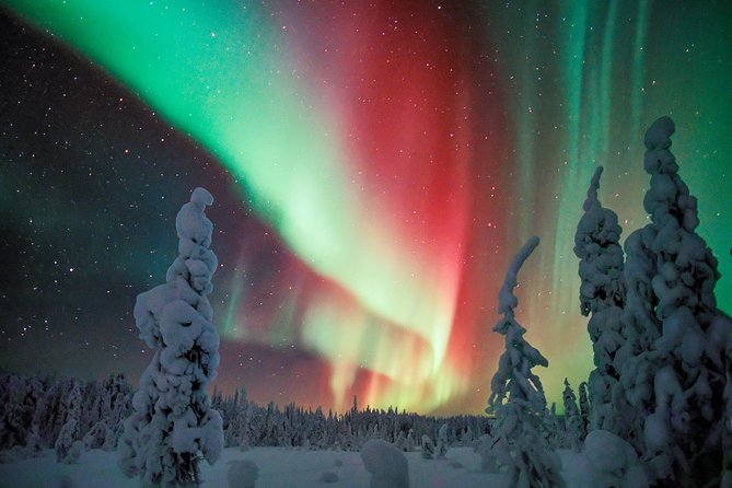 Auroras - Northern Lights Tours by Aurora Experts - Rovaniemi - The main idea: location beats gimmicks like glass igloos