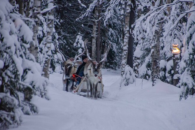 Authentic Reindeer Farm Experience in Rovaniemi - Learning the culture and work behind reindeer farming