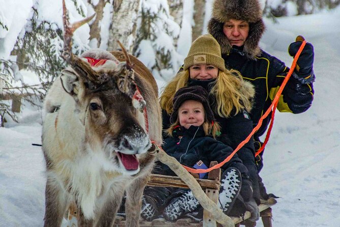 Authentic Reindeer Farm Experience in Rovaniemi - Tea, biscuits, and questions with the guide