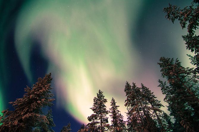 Autumn Aurora Borealis Picnic in Rovaniemi - Getting There from Safartica: Transfers, Timing, and Comfort