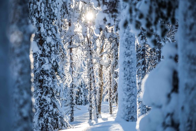 Backcountry skiing adventure - Group size and pace: calm skiing with room to breathe