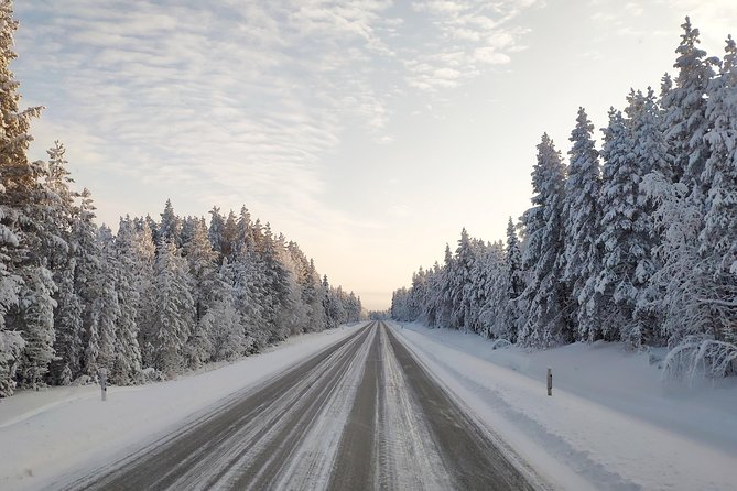 Best Of Lapland: Sauna, Ice swimming, Dinner & Northern Lights - Northern Lights Chance: The Prime Window and the 5pm Rule