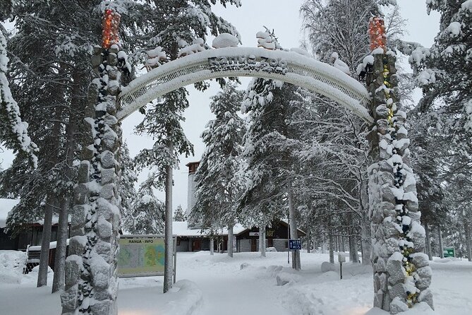 Bus to Ranua Zoo from Rovaniemi - Wildlife expectations in winter: what you might see (and what could be quiet)