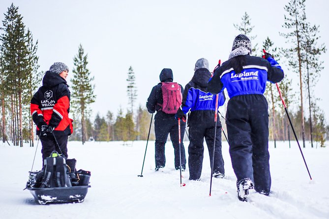 Cross-Country Skiing Trip - Cross-Country Skiing in Rovaniemi That Actually Fits Beginners