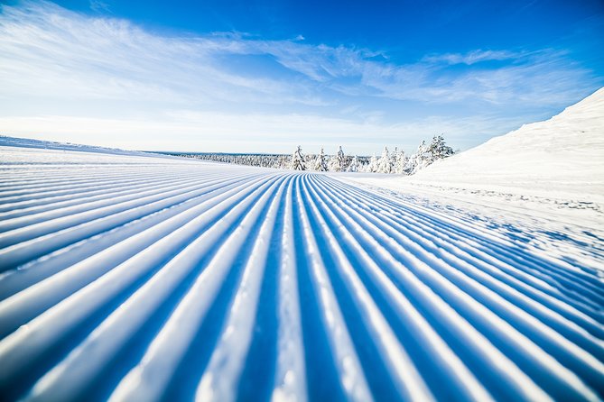 Cross-Country Skiing Trip - What the Full-Day Adds: 5.5 Hours and an Extra Break (Lunch Included)