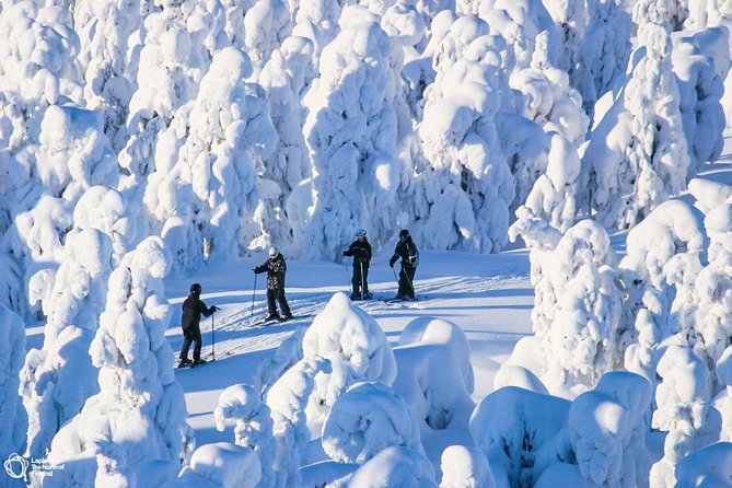 Cross-Country Skiing Trip - Pickup and Meeting Point: How to Start Without Stress
