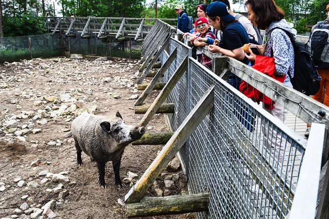 Day Trip to Ranua Arctic Wildlife Park from Rovaniemi - Lapland Welcome check-in and winter gear: start warm, start confident