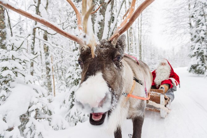 Daytour to Santa Claus Village, Reindeer and Husky Safaris, Photo, and Lunch - Planning Your Day to Santa Claus Village: Pickup, Timing, and What 4–5 Hours Really Means