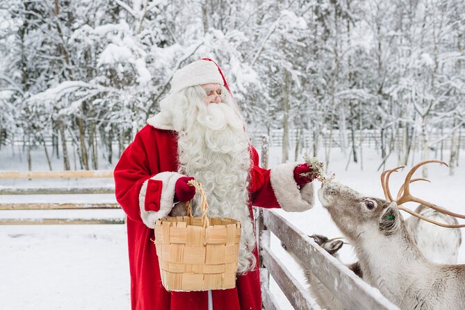 Daytour to Santa Claus Village, Reindeer and Husky Safaris, Photo, and Lunch - Crossing the Arctic Circle: The quick stop that feels oddly meaningful