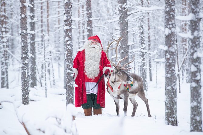 Daytour to Santa Claus Village, Reindeer and Husky Safaris, Photo, and Lunch - Santa’s Main Post Office: Mailing postcards like a local (and why it’s worth doing)