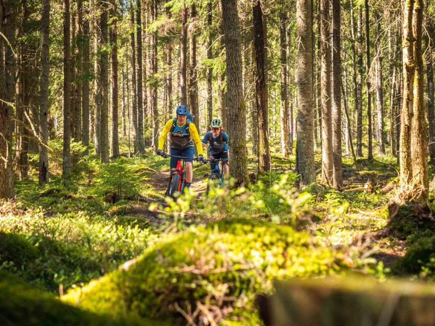 E-FatBike experience in small groups - Key things to know before you go