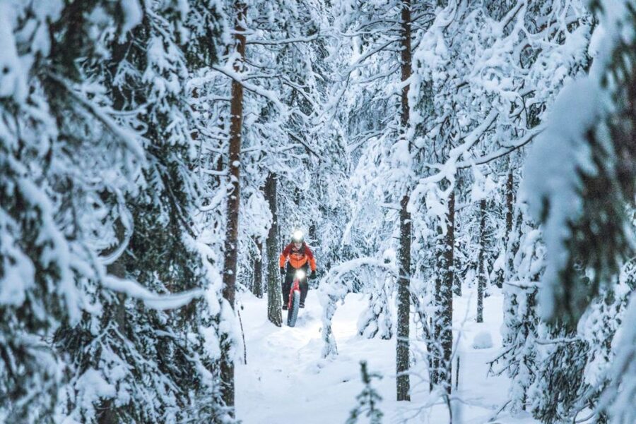E-FatBike experience in small groups - The uphill work you don’t have to fear