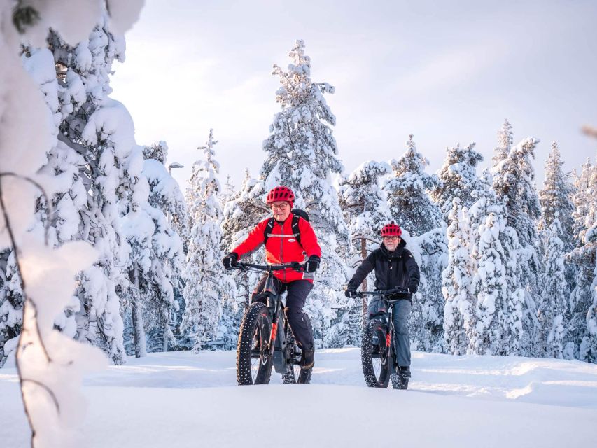 E-FatBike experience in small groups - The top of Ounasvaara: where the effort pays off