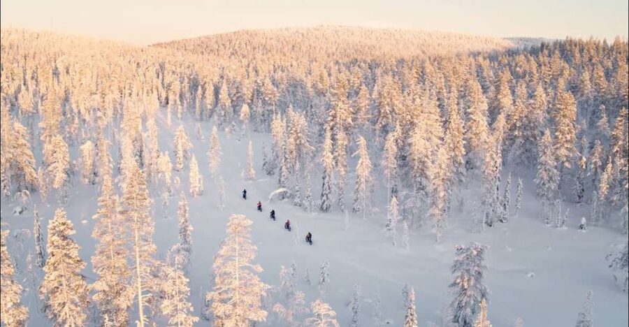 E-FatBike experience in small groups - Guides that actually shape your pace