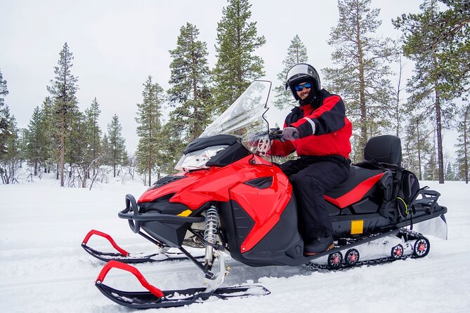 Easy Snowmobile Safari - Key highlights you’ll care about