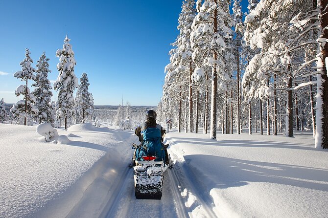 Easy Snowmobile Safari - Driving Rules and Snow-Ready Comfort: What You Need Before You Go