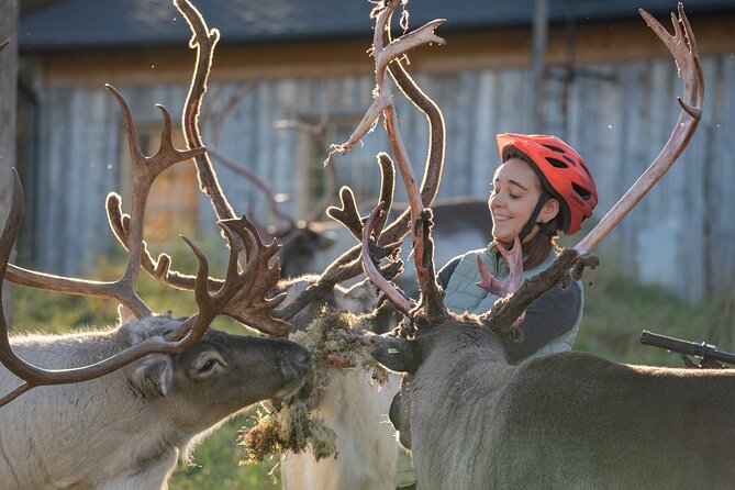 Electric Fatbike Trip to the Reindeer Farm - Electric fatbikes to a reindeer farm: how the timing really feels