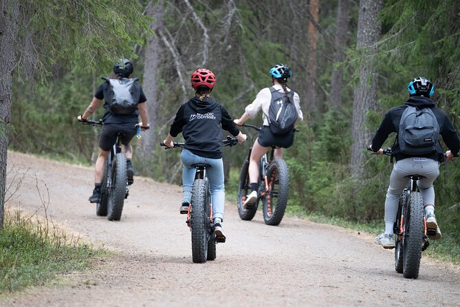 Electric Fatbike Trip to the Reindeer Farm - The electric fatbikes: what they’re like on real paths
