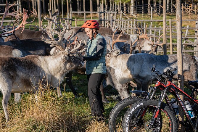 Electric Fatbike Trip to the Reindeer Farm - Why the return ride feels better than a simple out-and-back