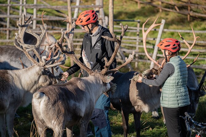 Electric Fatbike Trip to the Reindeer Farm - Price and value: is $177.44 worth it?