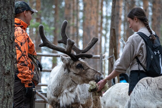 Electric Fatbike Trip to the Reindeer Farm - Where you meet and why the start matters