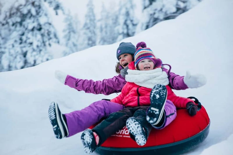 Entrance tickets to Snowman World and Snow Restaurant Dinner - The Snow Restaurant Dinner: What You’re Actually Eating