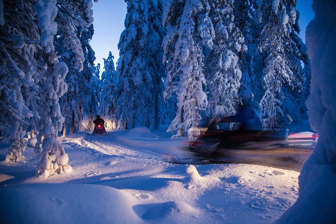 Evening Escape - Snowmobile safari and campfire in Rovaniemi - Campfire stop in a pitch-black forest: food, stories, and aurora time