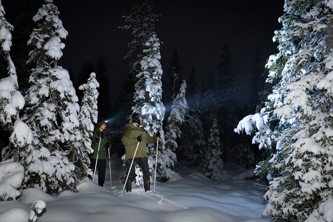 Evening Ski Trek to the Wilderness - Extra Small group - Key points to know before you go