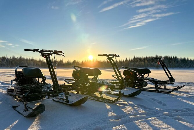 Expedition "INTO THE WILD" Safari and Lunch in Glass Igloo - Timing: About 3 Hours in Rovaniemi’s Winter Rhythm