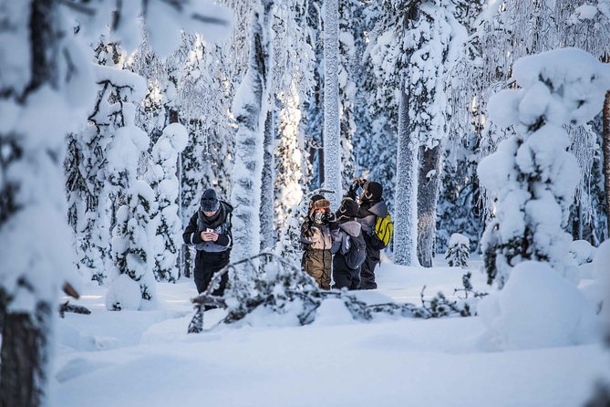 Explore the Wilderness - Getting picked up in Rovaniemi and heading about 20 minutes out