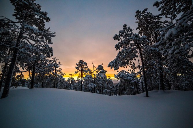 Explore the Wilderness - Small-group wilderness energy: max 8 and private pacing