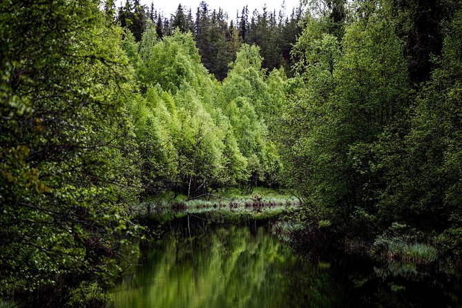 Explore the Wilderness (Summer & Autumn) - Key Points You’ll Care About