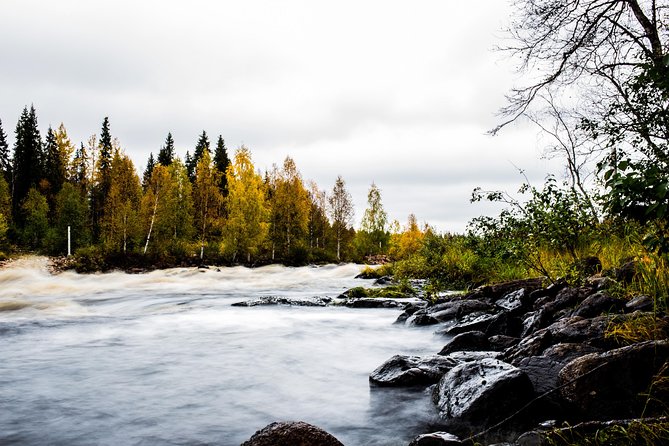 Explore the Wilderness (Summer & Autumn) - Into Lapland Wilderness Photography Mode