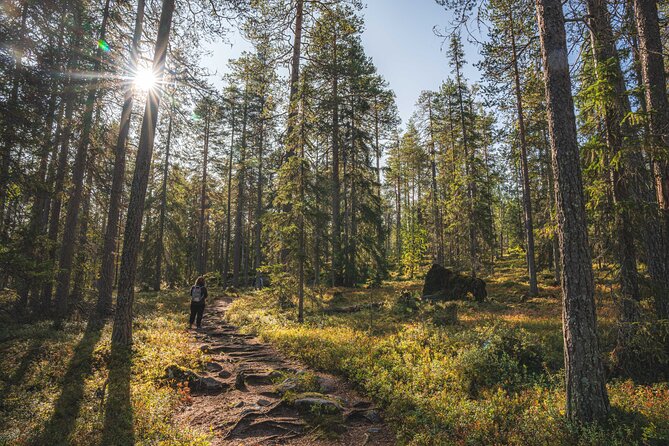 Explore the Wilderness (Summer & Autumn) - Bring Home Edited Photos (This Is Real Value)