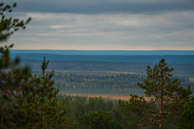 Explore the Wilderness (Summer & Autumn) - Price and Value for $159.48 in Rovaniemi