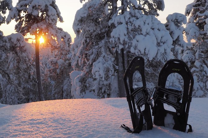 Explore Winter Woods: Snowshoe walk with local Biologist - Key points that make this snowshoe walk worth your time