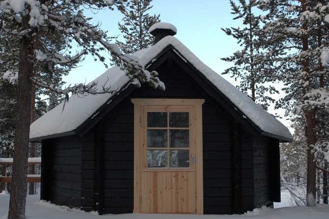 Explore Winter Woods: Snowshoe walk with local Biologist - Snowshoe route through old Lapland forests
