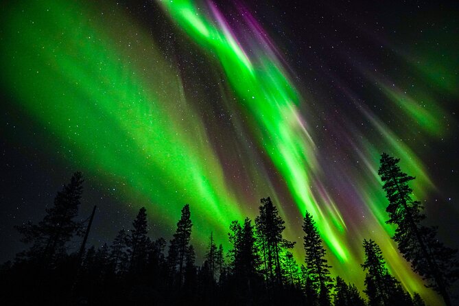 Family-Friendly: Northern Lights Adventure from Rovaniemi - Key things to know before you chase the lights